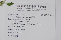 青莧藏品圖，第2張