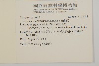 玉山艾藏品圖，第2張