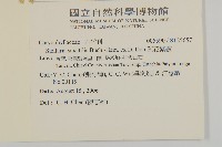 疏花繁縷藏品圖，第2張