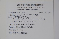 爬森藤藏品圖，第2張