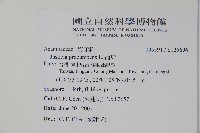 爵床藏品圖，第2張