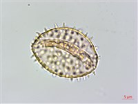 登錄號:S125708藏品圖，第2張