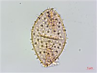 登錄號:S125708藏品圖，第3張