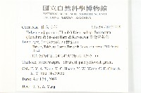 臺灣青莢葉藏品圖，第2張