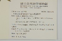 佩羅特木藏品圖，第2張