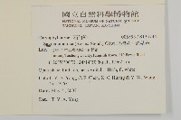 瓜槌草、漆姑草藏品圖，第2張