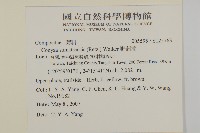 野茼蒿藏品圖，第2張