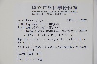 早田氏冬青藏品圖，第2張