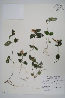 登錄號:S125786藏品圖，第1張