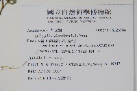 登錄號:S125786藏品圖，第2張