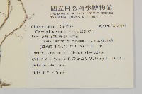 臺灣及己藏品圖，第2張