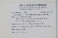 魚木藏品圖，第2張