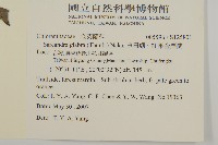 草珊瑚、紅果金粟蘭藏品圖，第2張