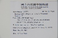 松田氏冬青藏品圖，第2張