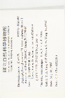 奧氏虎皮楠藏品圖，第2張