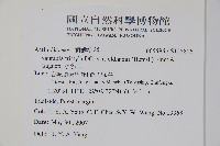 水冬瓜藏品圖，第2張