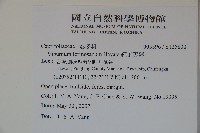 紅子莢迷藏品圖，第2張