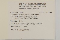 臺灣艾納香藏品圖，第2張