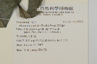 走馬胎藏品圖，第2張