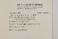 生毛將軍藏品圖，第2張