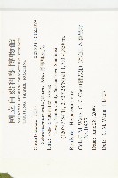 黑果馬交兒藏品圖，第2張