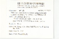 臺灣青莢葉藏品圖，第2張