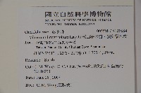 玉山糯米樹、狹葉糯米樹藏品圖，第2張