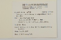 卷耳藏品圖，第2張