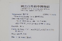 臺灣附地草藏品圖，第2張