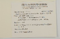 瓜槌草、漆姑草藏品圖，第2張