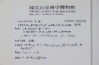 山桔梗藏品圖，第2張