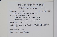 鹿谷秋海棠藏品圖，第2張