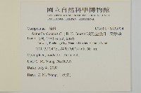 排香草藏品圖，第2張