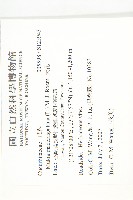 天花藏品圖，第2張