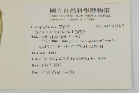 狗筋蔓藏品圖，第2張