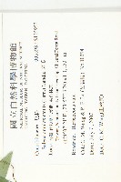 茅瓜藏品圖，第2張