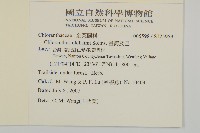 臺灣及己藏品圖，第2張