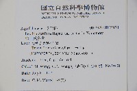 松田氏冬青藏品圖，第2張