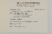 金腰箭舅藏品圖，第2張