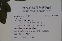 登錄號:S125986藏品圖，第2張