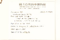 苦苣菜藏品圖，第2張