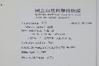 青葙藏品圖，第2張