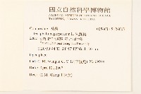 鼠麴舅藏品圖，第2張