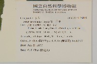 絨山白蘭藏品圖，第2張