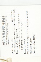 青牛膽藏品圖，第2張