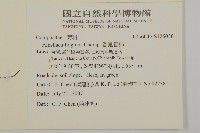 香鬼督郵藏品圖，第2張