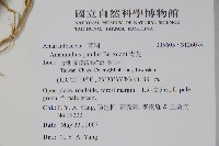 青莧藏品圖，第2張