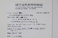 青莧藏品圖，第4張