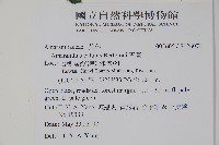 青莧藏品圖，第8張