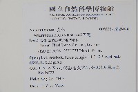 青莧藏品圖，第10張